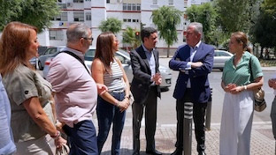 Obras pino montano