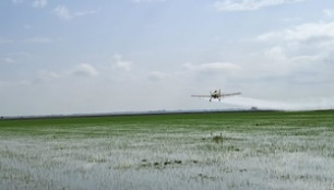 Fumigacion avioneta