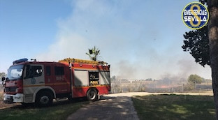 Incendio pastos guadalpark