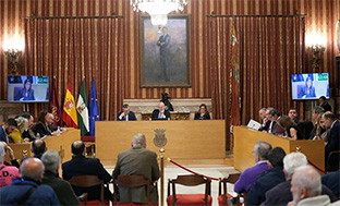 Pleno ayto sevilla 2025