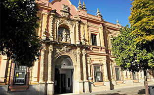 Museo bellas artes