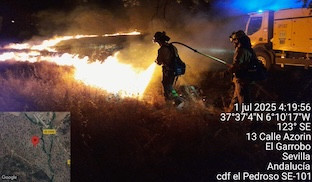 Incendio elgarrobo