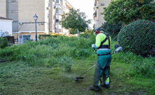 Jardinero mairena del aljarafe