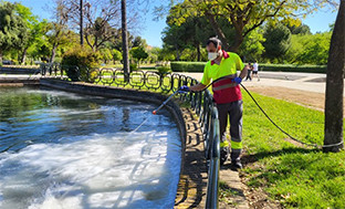 Medidas virus del nilo sevilla