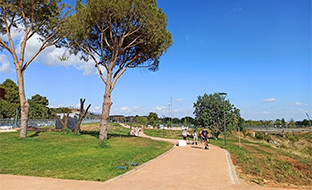 Parque central mairena