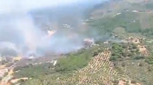Incendio constantina