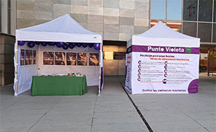 Puntos violetas diputaciu00f3n
