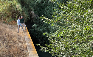 Arroyo almonazar