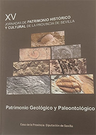 Actas patrimonio historico